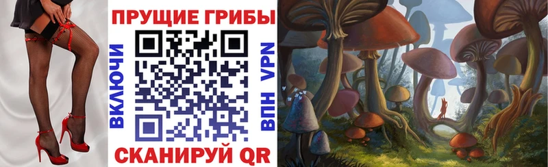 Галлюциногенные грибы Cubensis  Грайворон 