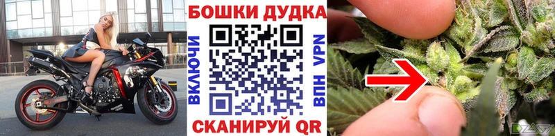 дарнет шоп  Грайворон  Канабис ГИДРОПОН 